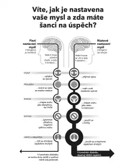 Nastavení mysli (Carol Dwecková)